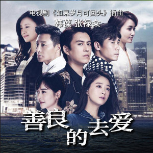 Listen to 善良的去爱 song with lyrics from 韩葆