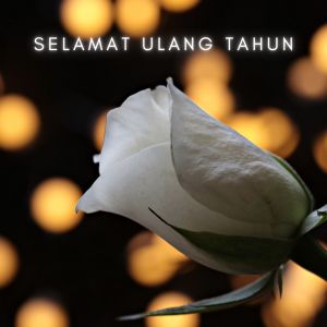 Listen to Selamat Ulang Tahun song with lyrics from Koka Ragil