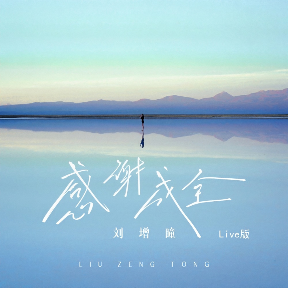 感谢成全 (Live版伴奏)
