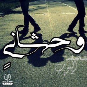 Listen to Wahashani song with lyrics from Mohamed Bob