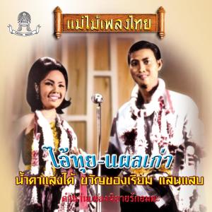 ดาวน์โหลดและฟังเพลง น้ำตาไอ้ทุย พร้อมเนื้อเพลงจาก ชรินทร์ นันทนาคร