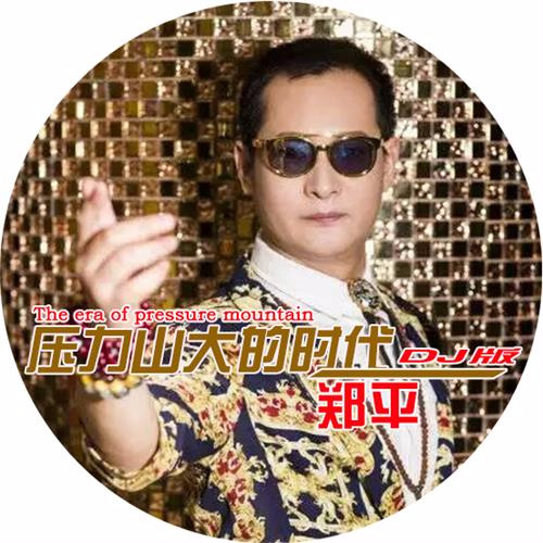 压力山大的时代(DJ版伴奏) (完整版)