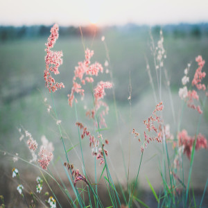 收听Zen Music Garden的Flow歌词歌曲