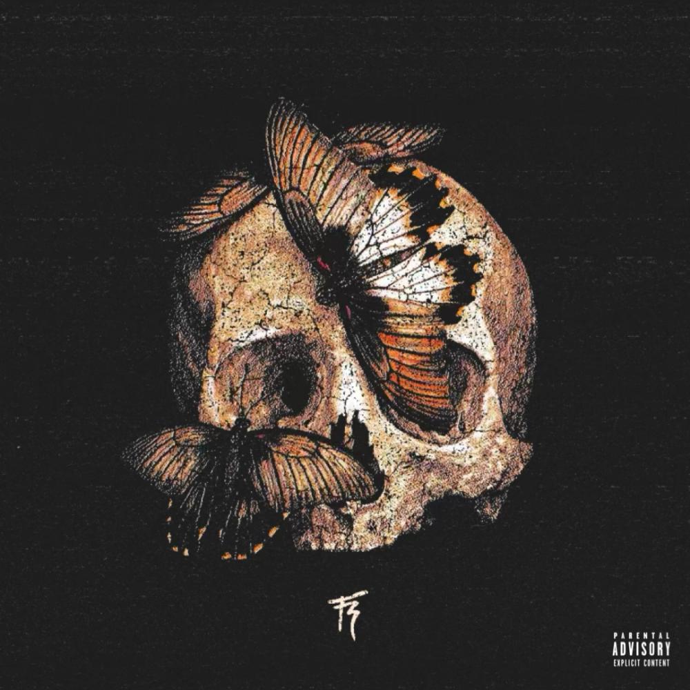 DO DAMAGE (Explicit)