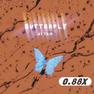 Dengarkan lagu Butterfly (0.88降速版) nyanyian A1 TRIP dengan lirik