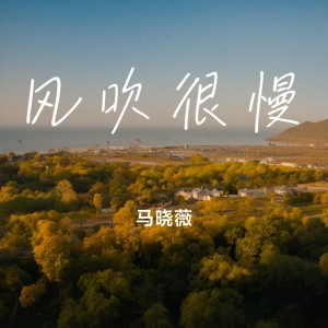Listen to 风吹很慢 (完整版) song with lyrics from 马晓薇