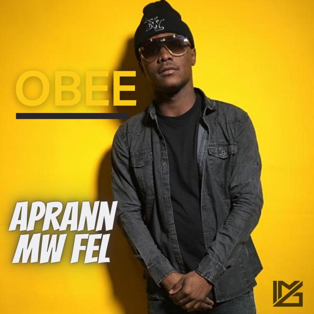 APRANN MW FEL