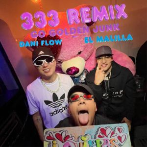 Listen to 333 (Remix|Explicit) song with lyrics from Go Golden Junk