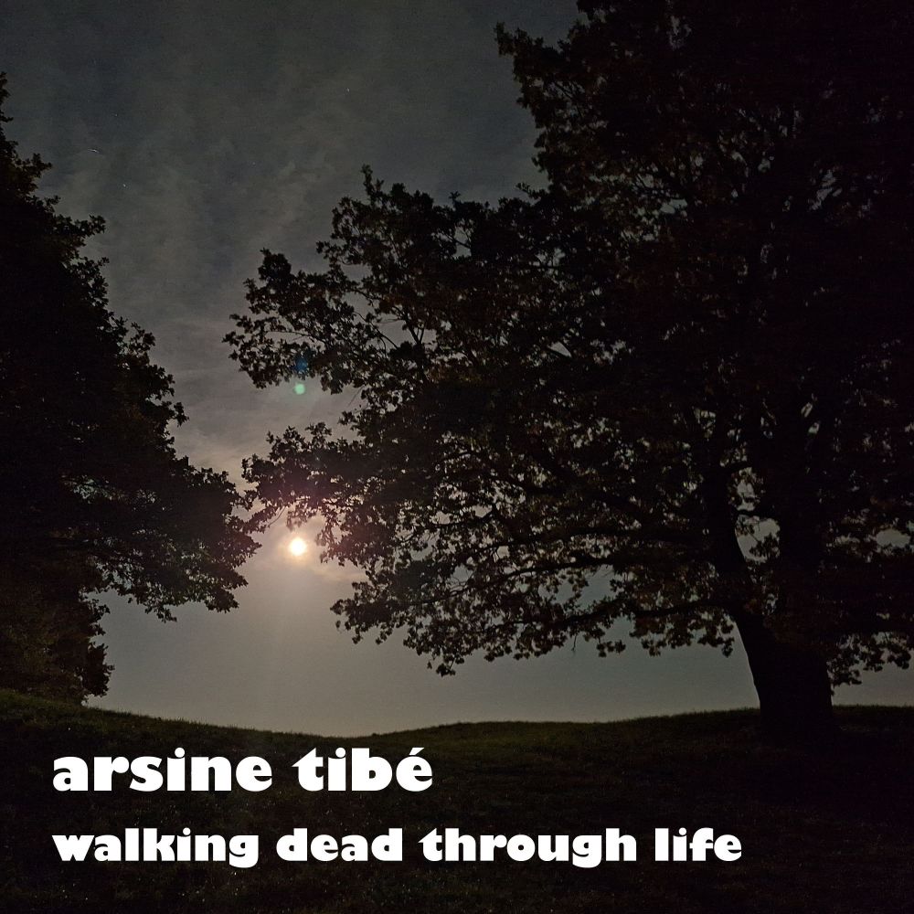 Walking Dead Through Life (Instrumental)