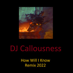 DJ Callousness的专辑How Will I Know (Remix 2022)