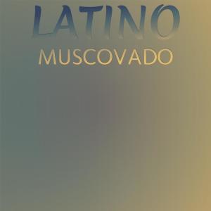 Listen to Zam Backtrace song with lyrics from Laida Benone