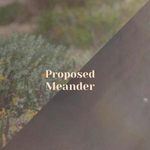 Album Proposed Meander from Various