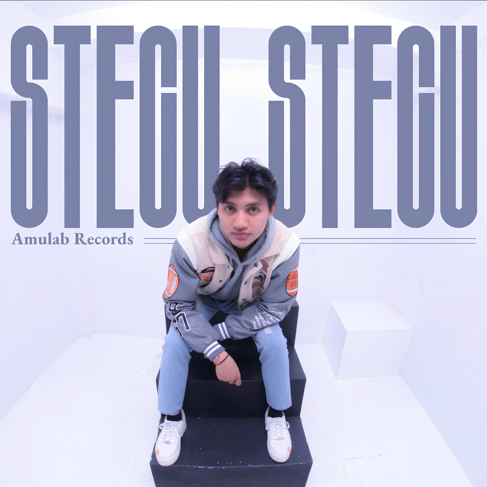 Stecu Stecu