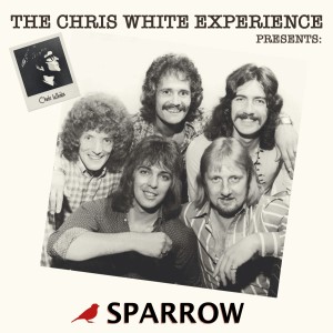 ดาวน์โหลดและฟังเพลง Catch Sorrow พร้อมเนื้อเพลงจาก Sparrow