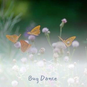 Listen to Bug Dance song with lyrics from Chet Atkins