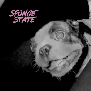 ดาวน์โหลดและฟังเพลง Sponge State พร้อมเนื้อเพลงจาก Slutface