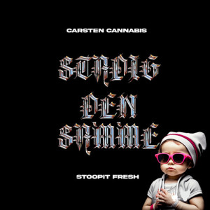 Listen to Stadig Den Samme (Explicit) song with lyrics from Carsten Cannabis