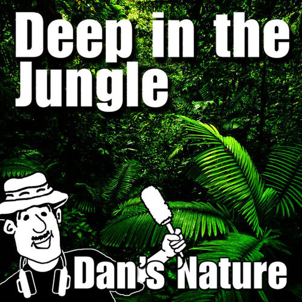 Unwind and Relax Deep in the Jungle