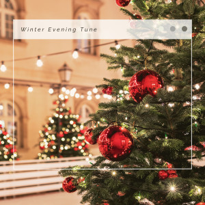 Acoustic Christmas Music Band的專輯3 2 1 Christmas Winter Evening Tune