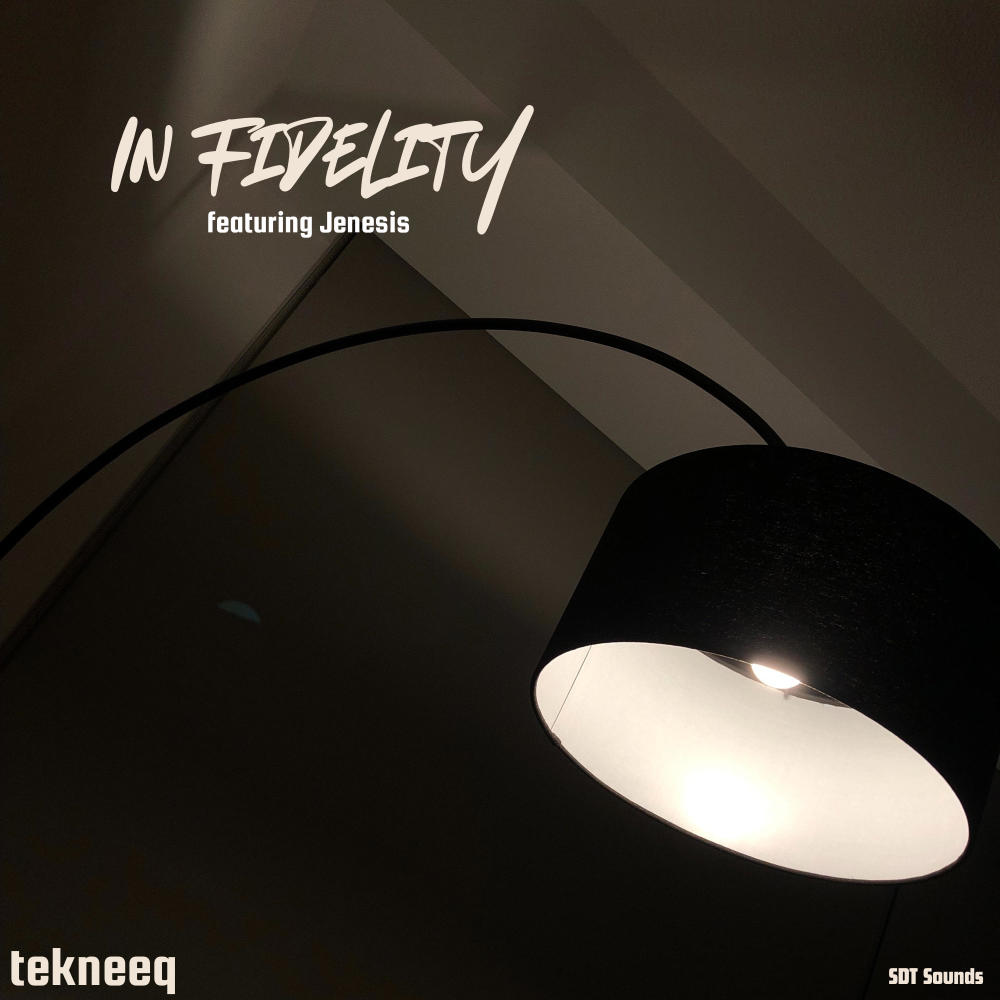 In Fidelity (feat. Jenesis)