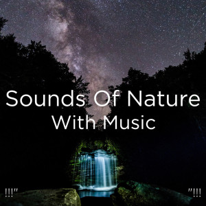 ดาวน์โหลดและฟังเพลง Cricket Sounds For Sleep พร้อมเนื้อเพลงจาก Nature Sounds