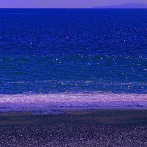 Listen to I'm crazy song with lyrics from ぶっ恋呂百花