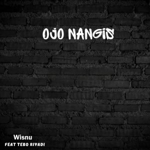 Listen to Ojo Nangis song with lyrics from Wisnu Aji