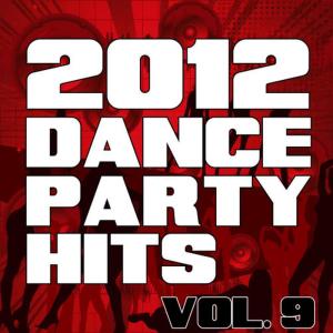 อัลบัม 2012 Dance Party Hits, Vol. 9 ศิลปิน The Re-Mix Heroes