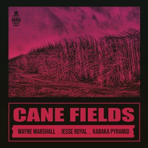 Dengarkan lagu Cane Fields nyanyian Natural High Music dengan lirik