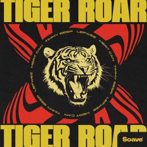 Album Tiger (Roar) oleh Mert Can