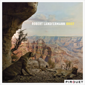 ดาวน์โหลดและฟังเพลง Regenzeit พร้อมเนื้อเพลงจาก Robert Landfermann
