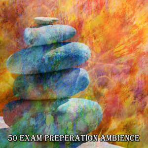 Yoga Tribe的专辑50 Exam Preperation Ambience
