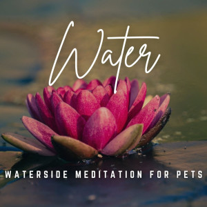 Album Music for Pet Zen: Gentle Water Reflections oleh Fresh Water Sounds