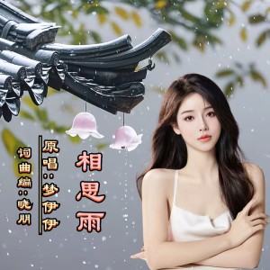 曉朋的專輯相思雨DJ