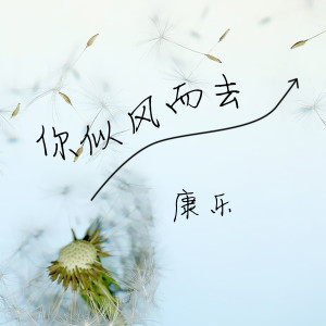 Album 你似风而去 from 康乐