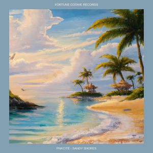 Listen to Shandy Shores song with lyrics from pnkcité