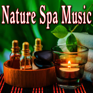 Naturesoundscape的專輯Nature Spa Music