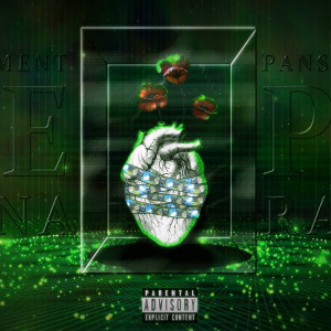 Album Pansament Pe Rana (Explicit) oleh Stan