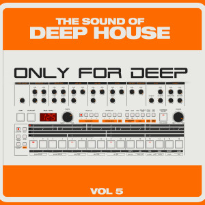 收聽Black Garden的Attention to the Outside World (House Republic's Deep Mix)歌詞歌曲