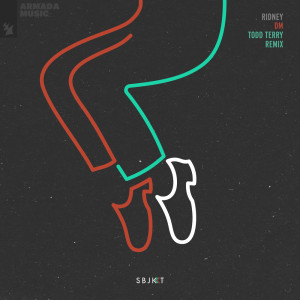 DM (Todd Terry Remix) dari Ridney