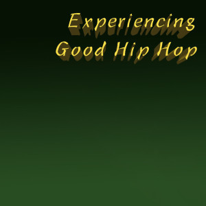 Dengarkan Freestyle (Explicit) lagu dari Jay-Z dengan lirik