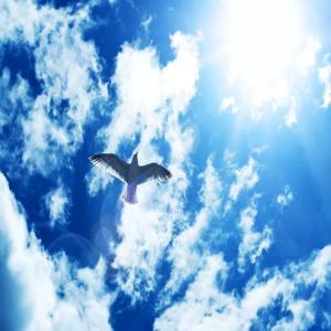 收聽T1NO的SICK (Explicit)歌詞歌曲