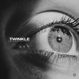 Hedegaard的專輯TWINKLE (Explicit)