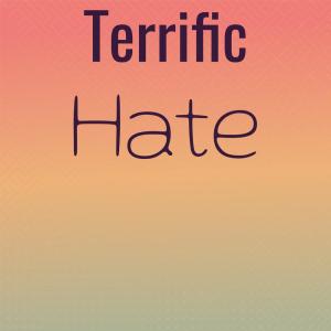 Album Terrific Hate from Various