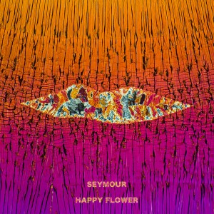 Seymour的专辑Happy Flower