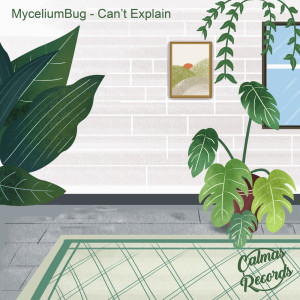 Listen to Can't Explain song with lyrics from MyceliumBug