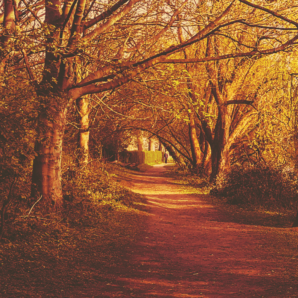 Autumn Love