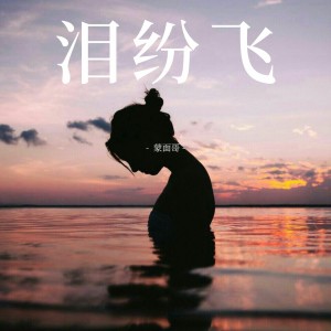 Album 泪纷飞 from 蒙面哥
