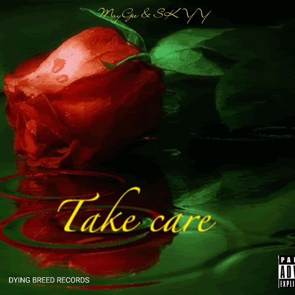 Take Care (feat. SKYY) (Special Version) (Explicit)