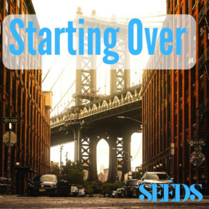 收聽Seeds的STARTING OVER歌詞歌曲